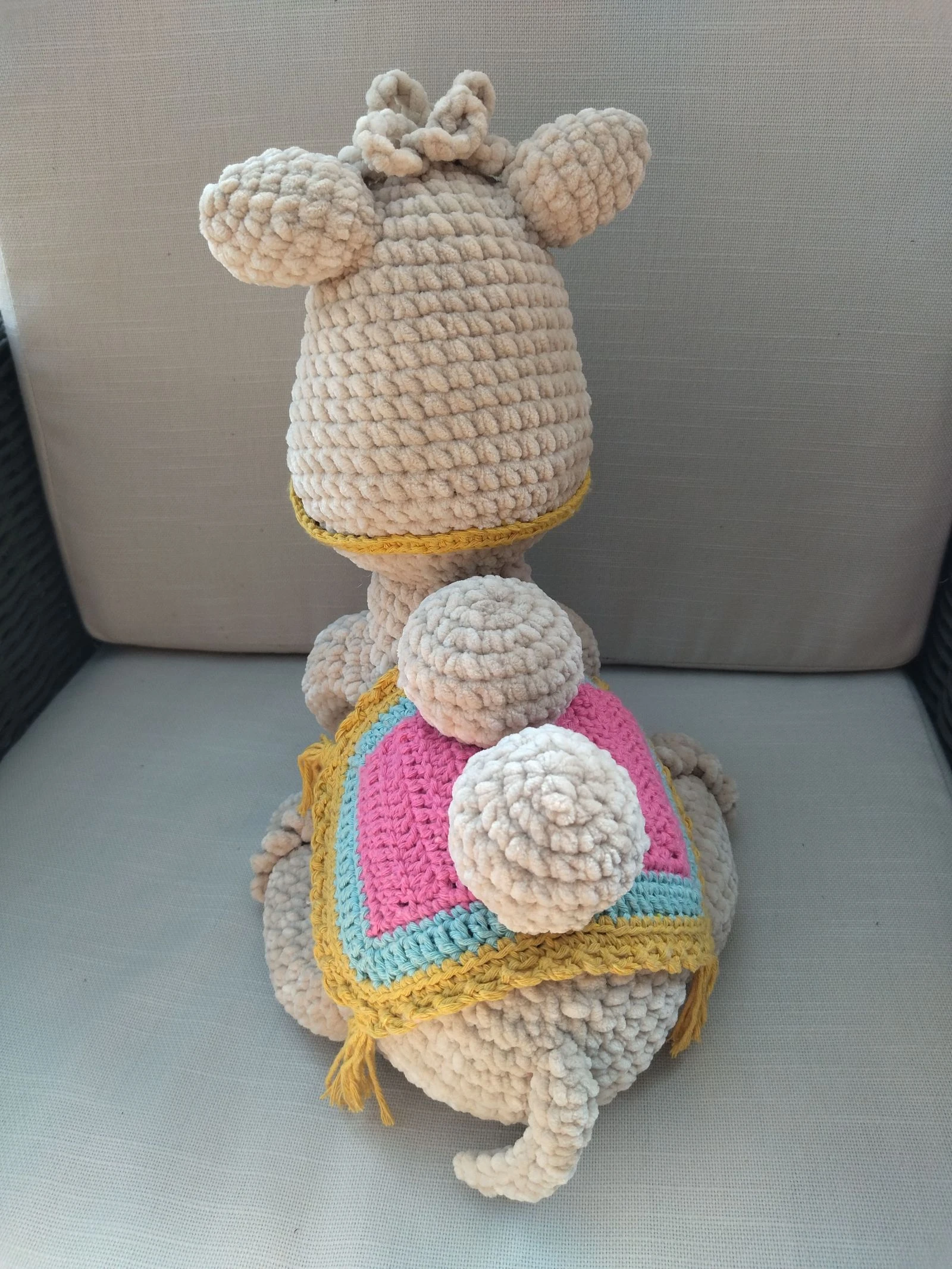Camel – photo 4